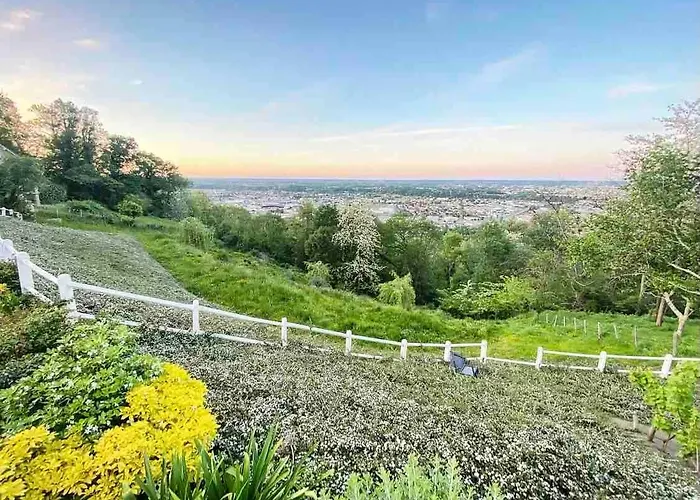 Vue Panoramique Pau Piscine